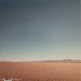 Man Man : Dream Hunting In The Valley Of The In-Between (LP, Album, Ltd, Pin + LP, S/Sided, Etch)