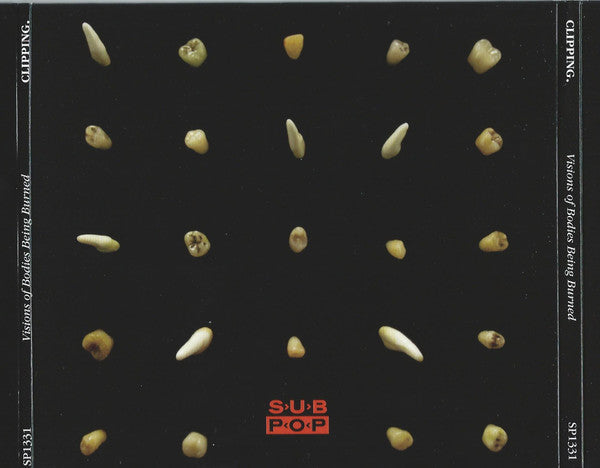 Clipping. : Visions Of Bodies Being Burned (CD, Album)