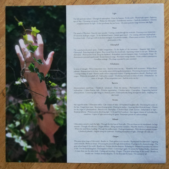 Botanist : Photosynthesis (LP, Ltd, Mus)