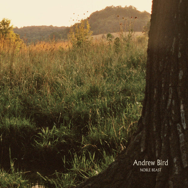 Andrew Bird : Noble Beast (2xLP, Album, Gat)