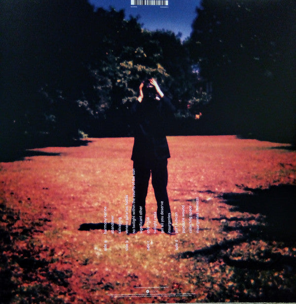 Steven Wilson : Insurgentes (2xLP, Album, Ltd)