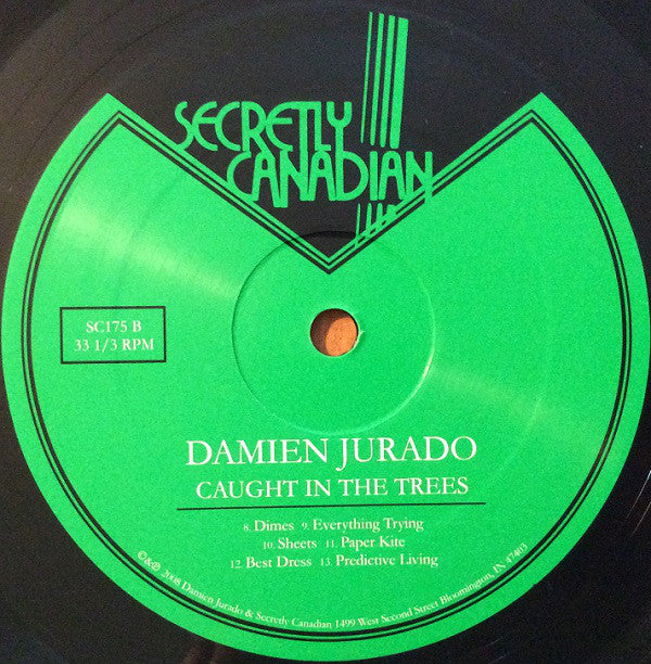 Damien Jurado : Caught In The Trees (LP, Album)