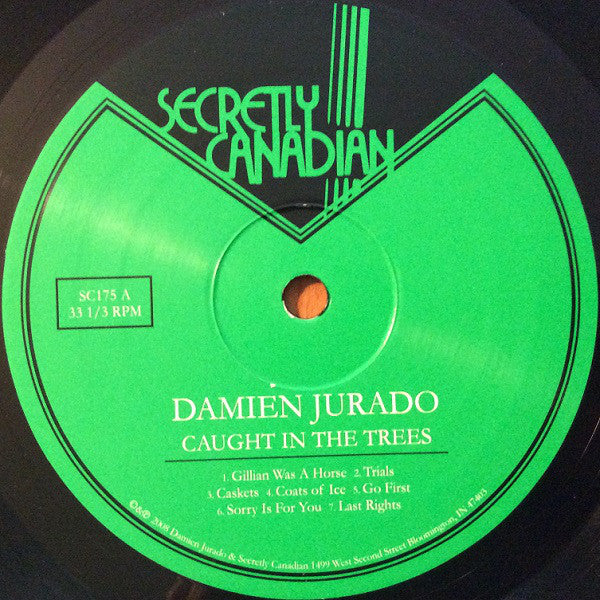 Damien Jurado : Caught In The Trees (LP, Album)