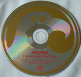 Wilsen : I Go Missing In My Sleep (CD, Album)