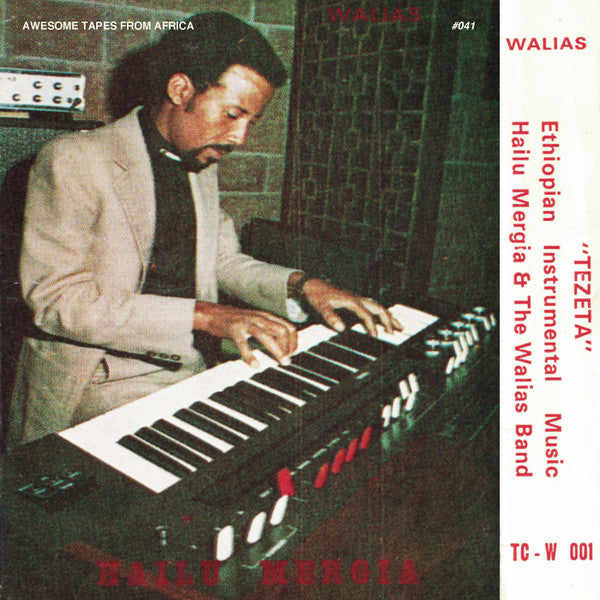 Hailu Mergia & Wallias Band : Tezeta (LP, Album, RE)