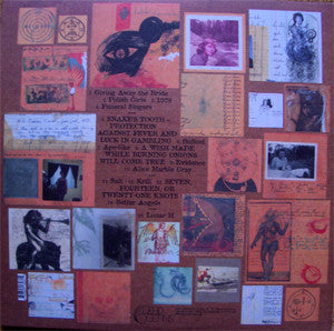 Califone : All My Friends Are Funeral Singers (2xLP, Album)