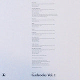 Caleb Landry Jones : Gadzooks Vol. 1 (LP, Album, Dlx, Ltd, Red)