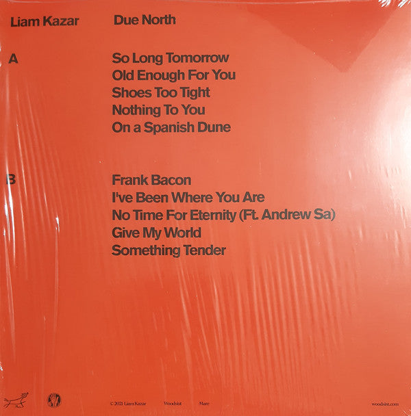 Liam Kazar : Due North (LP, Album)