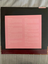 Duster (2) : Duster (LP, Album, Ltd, RE, Gho)