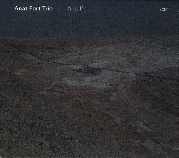 Anat Fort Trio : And If (CD, Album)