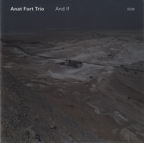 Anat Fort Trio : And If (CD, Album)