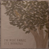 Bright Eyes : I'm Wide Awake, It's Morning (LP, Album, RE)