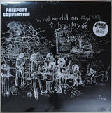 Fairport Convention : What We Did On Our Holidays (LP, Album, RE)