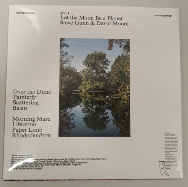 Steve Gunn & David Moore (15) : Reflections Vol. 1: Let The Moon Be A Planet (LP)