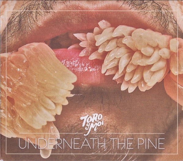 Toro Y Moi : Underneath The Pine (CD, Album)