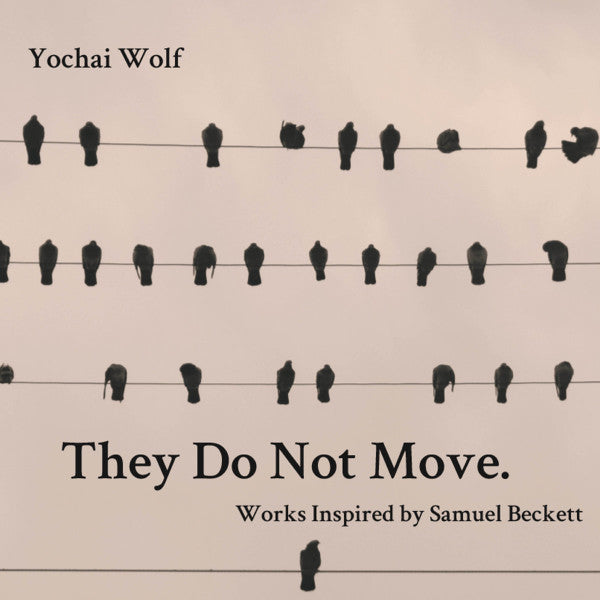 Yochai Wolf : They Do Not Move (CDr, Album)