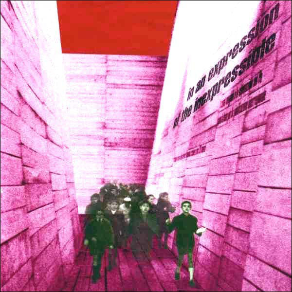 Blonde Redhead : In An Expression Of The Inexpressible (CD, Album)