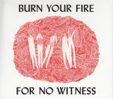 Angel Olsen : Burn Your Fire For No Witness (CD, Album)