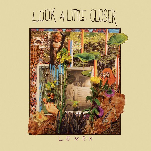 Levek : Look A Little Closer (CD)