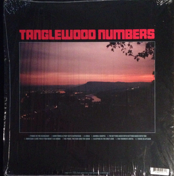 Silver Jews : Tanglewood Numbers (LP, Album)