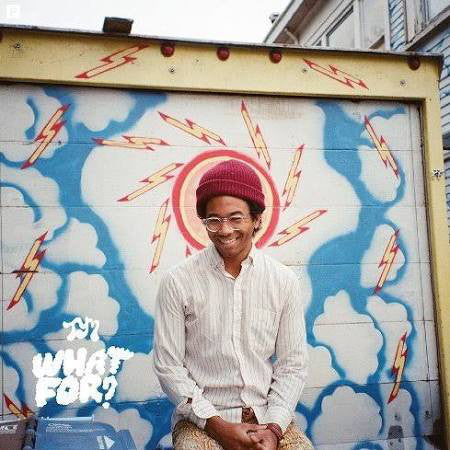 Toro Y Moi : What For? (CD, Album)