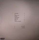 Portico Quartet : Living Fields (LP, Album)