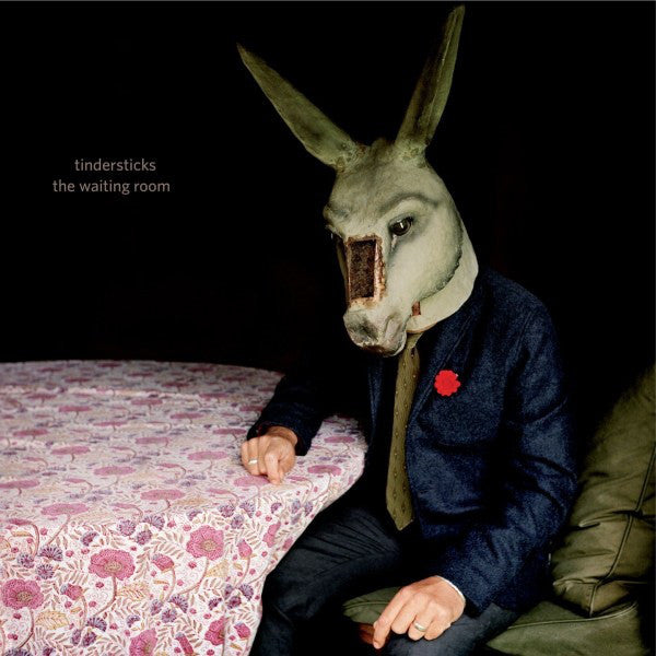 Tindersticks : The Waiting Room (CD, Album)