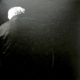 Bill Frisell : When You Wish Upon A Star (2xLP, Album)