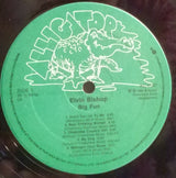 Elvin Bishop : Big Fun (LP, Album)