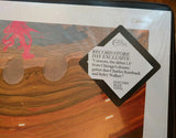 Charles Rumback & Ryley Walker : Cannots (LP, Album, RSD, Ltd, Ele)