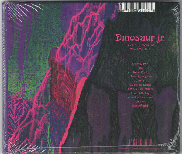 Dinosaur Jr. : Give A Glimpse Of What Yer Not (CD, Album)